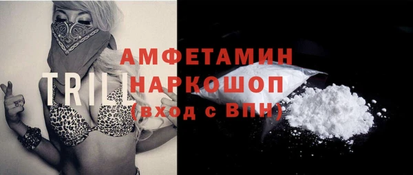 мет Алексин