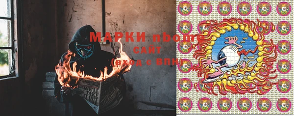 гидропоника Алзамай