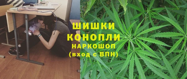 мдпв Липки